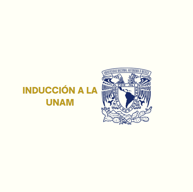 Curso